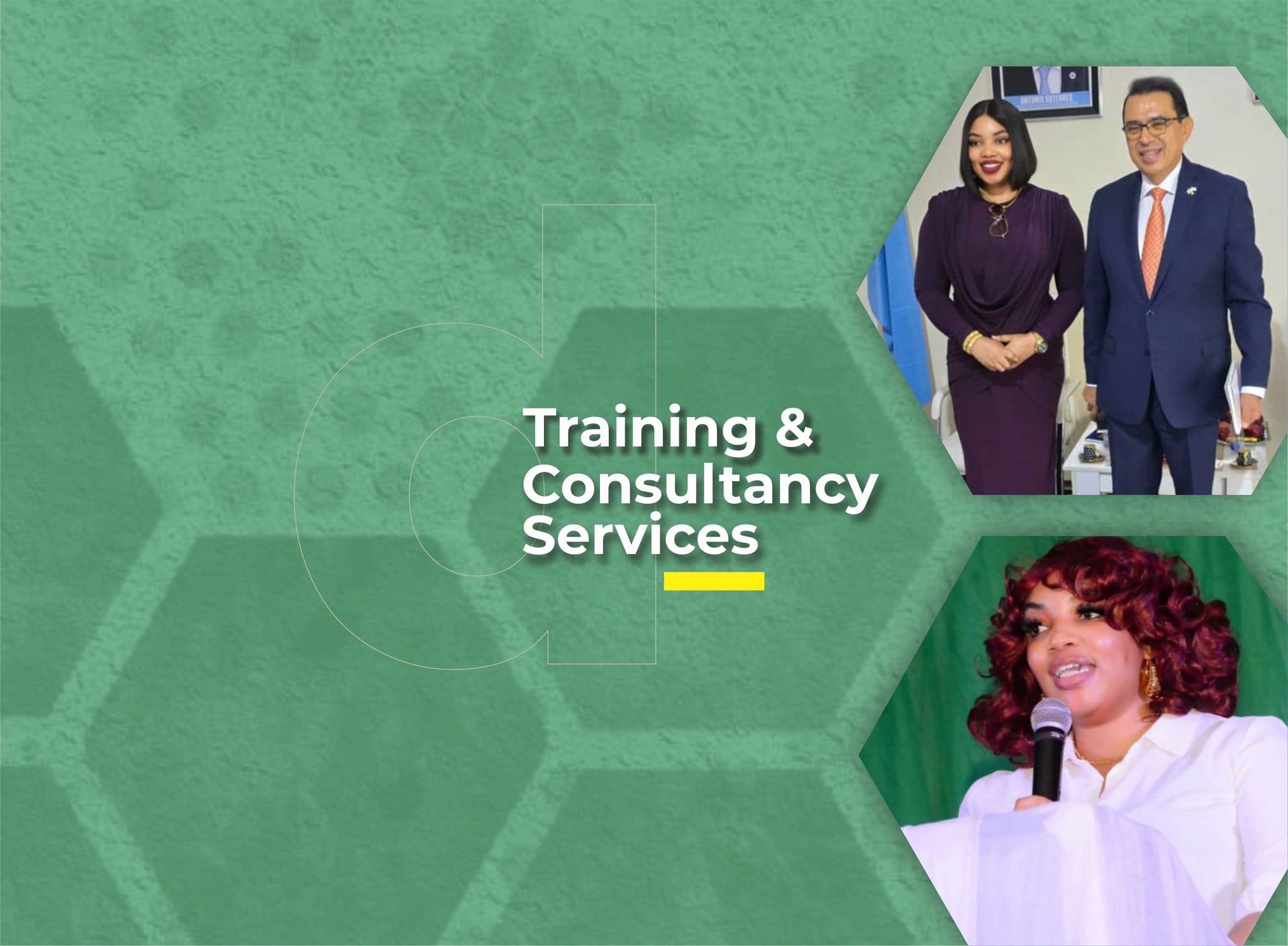 Professional training and consultancy session